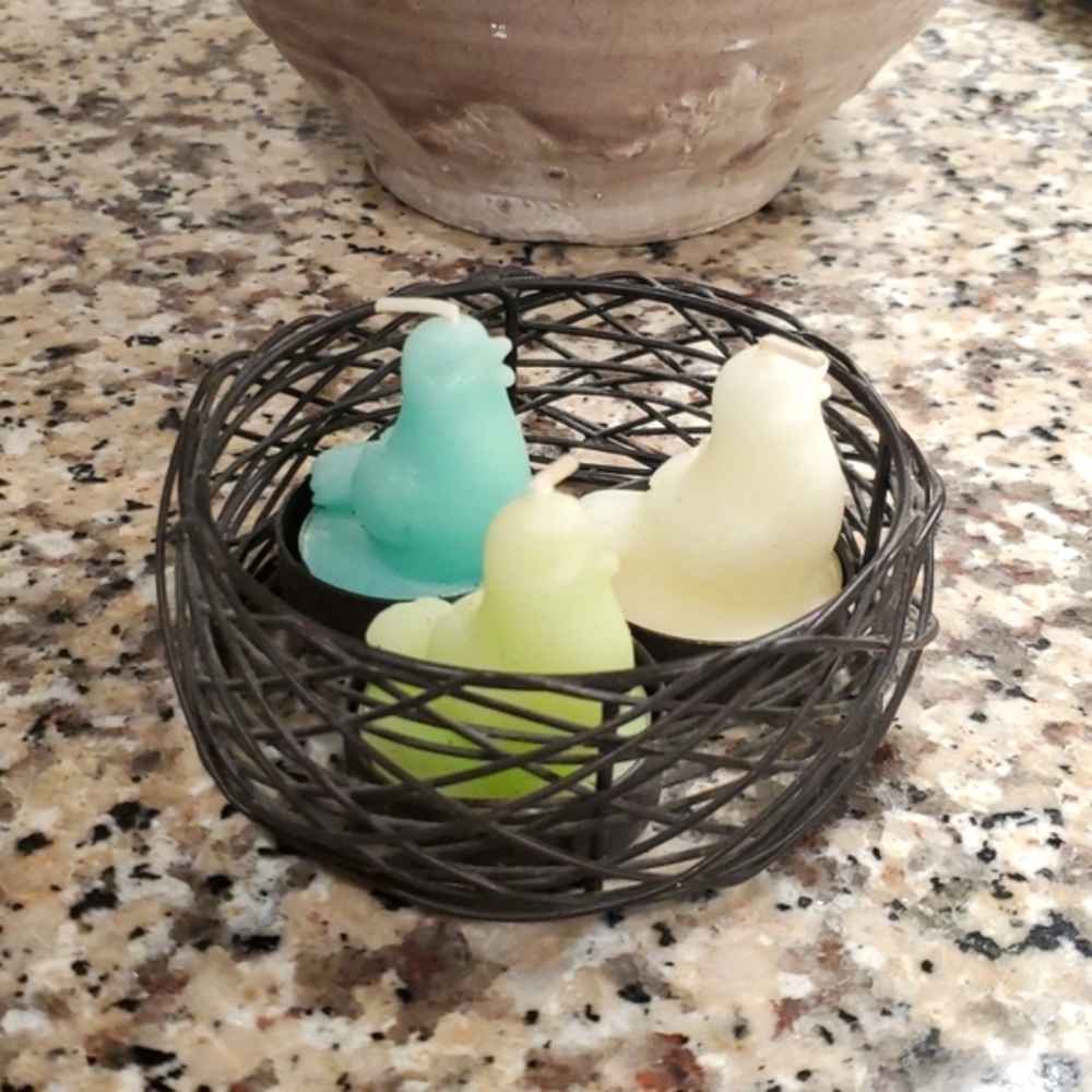 3 birds in a nest FINAL PRICE